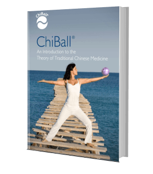 E-Book - Introduction to the Theory of Traditional Chinese Medicine