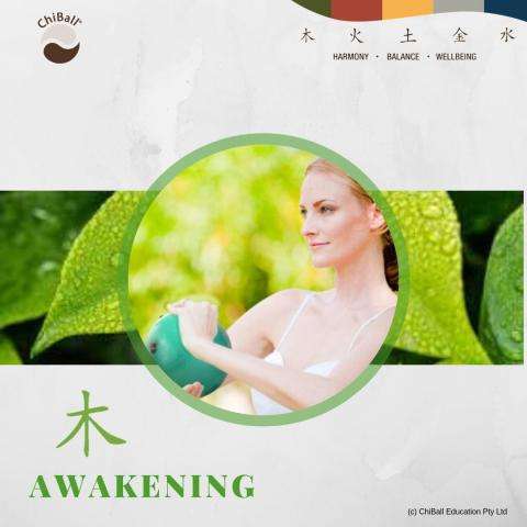 Awakening - Digital Download Album