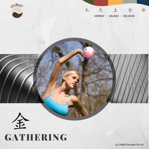 Gathering - Digital Download Album